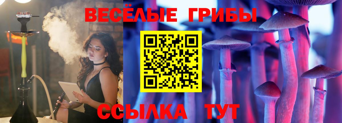 Среднеуральск  Галлюциногенные грибы ЛСД  Вход с VPN 